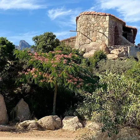 Domaine De Piscia