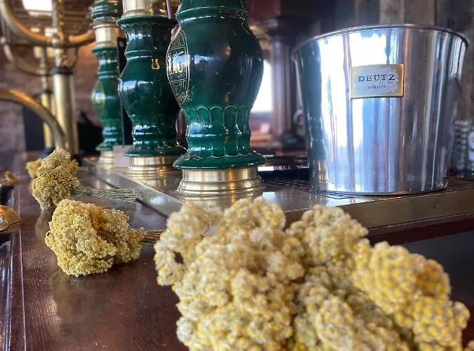 Hotel Domaine De Piscia