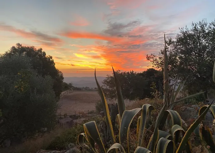 Domaine De Piscia 3*